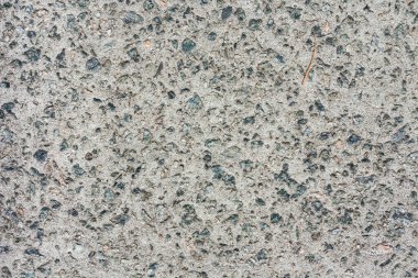 Gri beton levhalar - parkta yürüyüş alanı