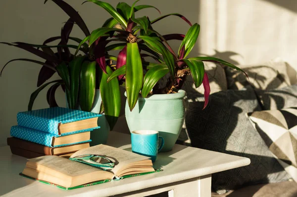 Educação Casa Distância Pilha Livros Capas Coloridas Planta Rhoeo Tradescantia — Fotografia de Stock