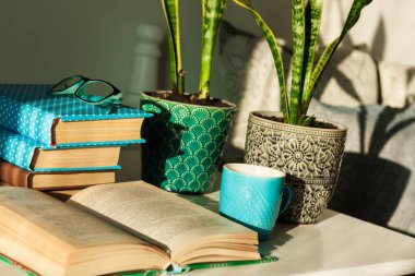 Uzaklık ev eğitimi: renkli örtüler, bardaklar, çay fincanları ve seramik kaplarda (yılan bitkisi) seramik kaplar içinde dekoratif yastıklı bir yatağın arka planındaki beyaz bir masada bulunan kitap yığını..