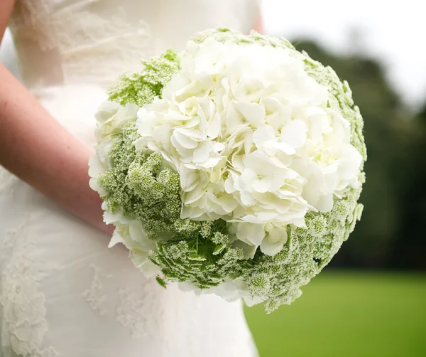 Ramo de flores — Foto de Stock