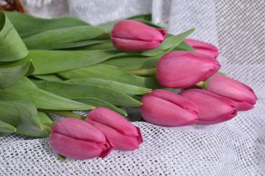 Bir buket lale. Lale çiçekli kompozisyon.