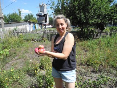 Bir kız köyde taze kırmızı elma topluyor.