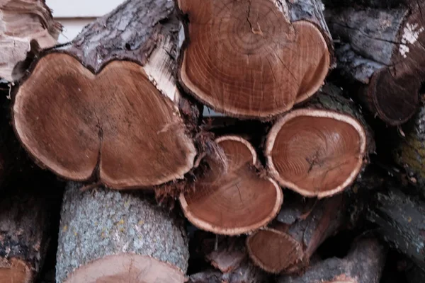 Moda düz ahşap doğal Boyutlanmış günlükleri closeup için arka plan veya soyutlama yatıyordu fotoğraf. kış bahar bakış günlüklerinin ağaçlar farklı türde