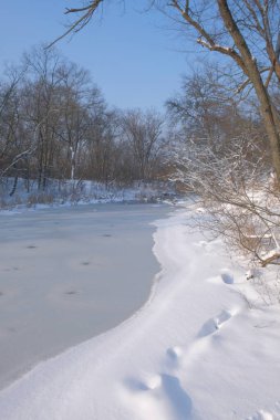 Güneşli bir günde donmuş nehir ve karla kaplı ormanlı sakin kış manzarası. Açık mavi gökyüzünün altında ağaçlarla çevrili donmuş bir nehir ya da gölün olduğu güzel bir kış manzarası. El değmemiş beyaz kar zemini kaplıyor, barışçıl bir yaban hayatı yaratıyor.
