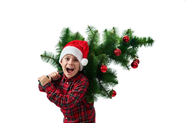 Retrato Isolado Criança Branco Menino Camisa Vermelha Carrega Uma Árvore — Fotografia de Stock
