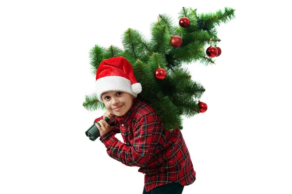 Retrato Isolado Criança Branco Rapaz Camisa Vermelha Carrega Uma Árvore — Fotografia de Stock