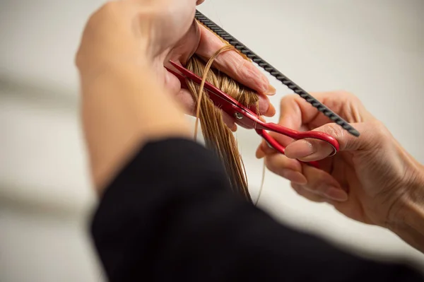 Closeup Hairdresser Hands Holding Scissors Cutting Long Blond Hair Hair — Stock Photo, Image