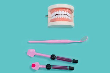 Mavi arka planda diş hekimliğinde kullanılan insan dişlerinin ve aletlerinin modeli.