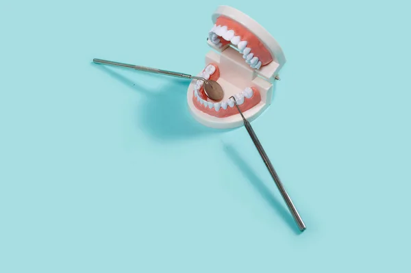 Dental Steel Mirror Scaler Model Human Jaw Teeth Blue Background — Stock Photo, Image