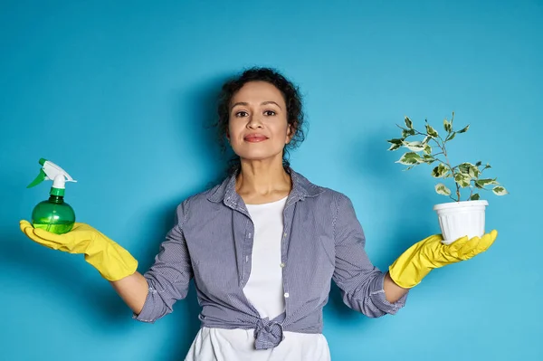 Young Latin American woman gardener posing with indoor plant spray and pot with small home tree over blue background. Copy space.