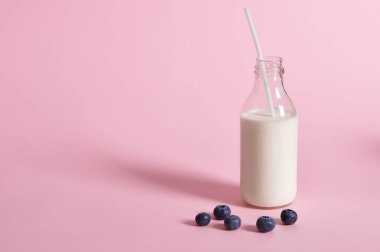 Renkli arkaplanda süt ve yaban mersini şişesi ve metin için boşluk