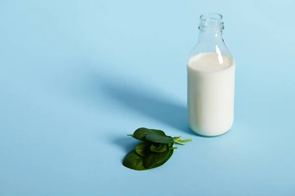 Vista Ángulo Alto Una Pequeña Botella Vidrio Con Leche Orgánica —  Fotos de Stock