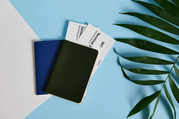 Flat Lay Two Passports Airplane Tickets Bicolor Background Palm Leaves — Stock Photo, Image