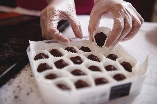 Крупный План Шоколадных Рук Белых Прозрачных Перчатках Шоколадными Трюфелями Коробке — стоковое фото