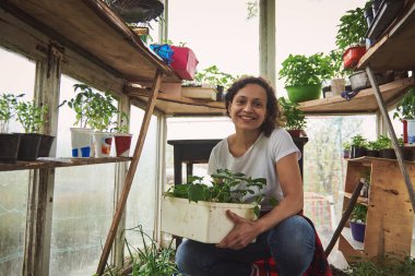 Kadın bahçıvan kameranın önünde gülümsüyor, bir kır serasında çömeliyor ve elinde salatalık tohumları tutuyor.