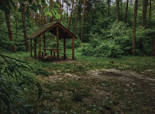 Coin Salon Couvert Belvédère Bois Pour Détendre Dans Forêt — Photo