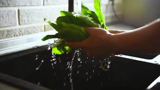 Close Uma Mulher Lavando Folhas Espinafre Pia Cozinha Materiais Vídeo — Vídeo de Stock