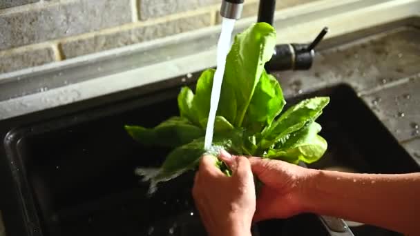 Lento Movimiento Lavar Las Hojas Espinacas Frescas Fregadero Cocina Salpicar — Vídeos de Stock