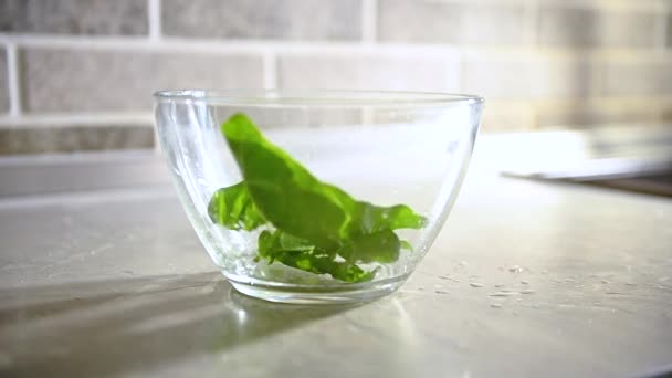 Primer Plano Imágenes Vídeo Cámara Lenta Caída Hojas Espinacas Verdes — Vídeo de stock