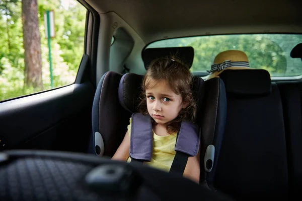 Safe movement of children in the car. Fastened little girl to child safety seat inside car