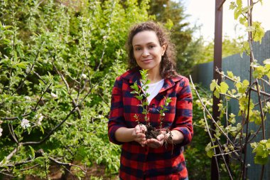 Gülümseyen Afrikalı Amerikalı bahçıvan elinde nane filizleri, ellerinde toprak bahçe ağaçlarının arka planında duruyordu.
