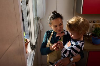 Önlüklü bir anne, küçük çocuğunu güneşli bir pencerenin yanında sıcak bir mutfakta tutarak yaprağı birlikte inceliyor. Sıcak, samimi aile anları. Bakım, öğrenme ve günlük hayatı ön plana çıkarıyor..
