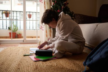 Odaklanmış genç bir çocuk halının üzerinde oturuyor, yakınlarda kalemler ve klasörlerle defterlere yazıyor, oturma odasında bir Noel ağacı parıldıyor, sıcak ve çalışkan bir ev ortamı yaratıyor..