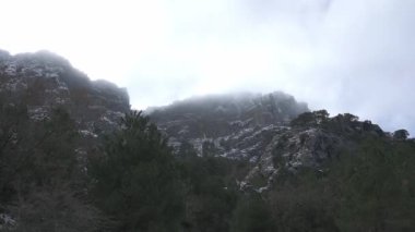 Huşu uyandıran bir kış manzarası gizemli sis ve bulutlarla örtülü görkemli kar örtülü dağları sergiliyor. Çam ağaçlarından oluşan sakin bir orman ön planda, bu doğal ortamın soğuk güzelliğini ve huzur dolu vahşiliğini vurguluyor..