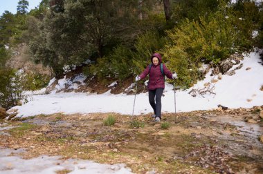Kestane rengi ceketli yalnız bir yürüyüşçü kadın kısmen karlı bir orman patikasında yürüyüş direkleri ile yürüyor. Açık hava aktivitesi, spor ve kış doğasını gösteriyor..