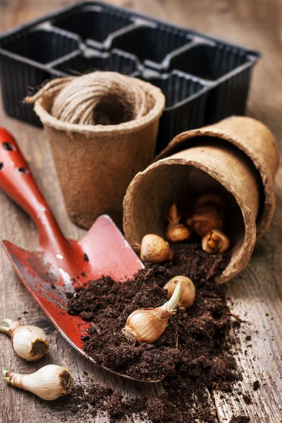 Gartengeräte, Torftöpfe, Erde, Zwiebeln zum Pflanzen pflanzen — Stockfoto