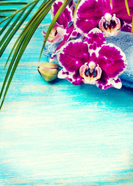 Begreppet Spa på den tropiska resort — Stockfoto