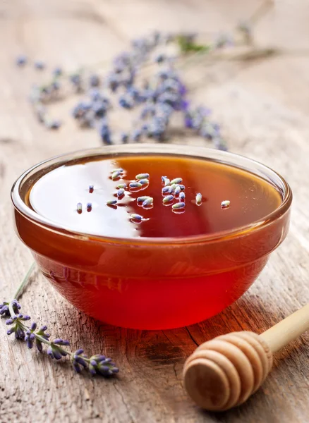 Miel fresca y lavanda — Foto de Stock