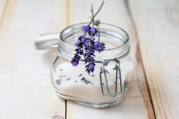 Fresh lavender and lavender sugar — Stock Photo, Image