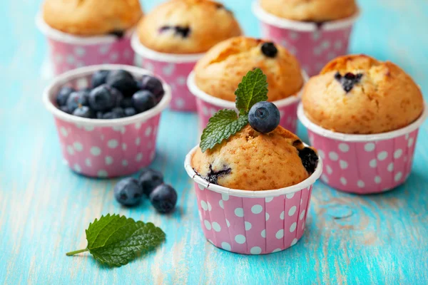 Blueberry muffins in pink cases — Stock Photo, Image