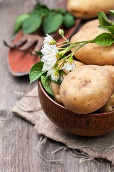 Patatas con hojas y flores — Foto de Stock