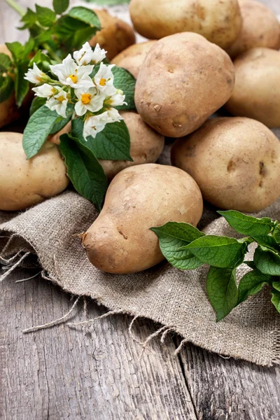 Patatas con hojas y flores — Foto de Stock