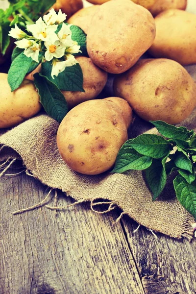 Patatas con hojas y flores — Foto de Stock