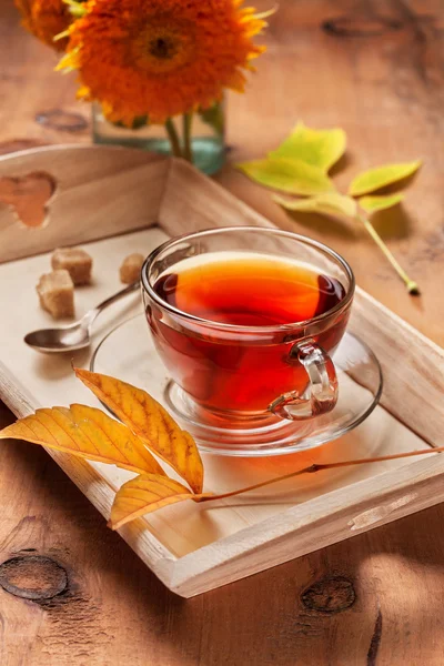 Herbata w szklanym pucharze — Zdjęcie stockowe