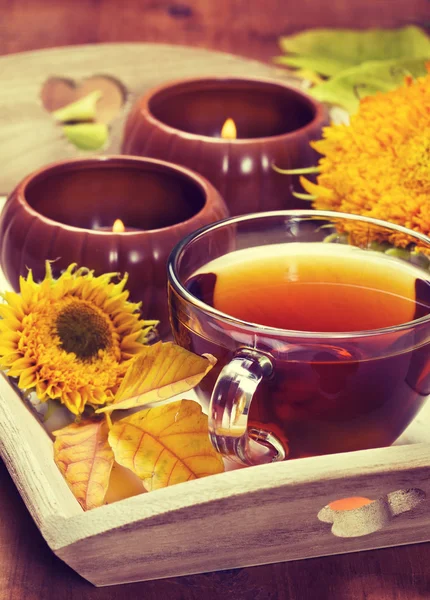 Tea in glass cup — Stock Photo, Image