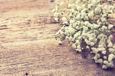 gypsophila on a wooden background clipart