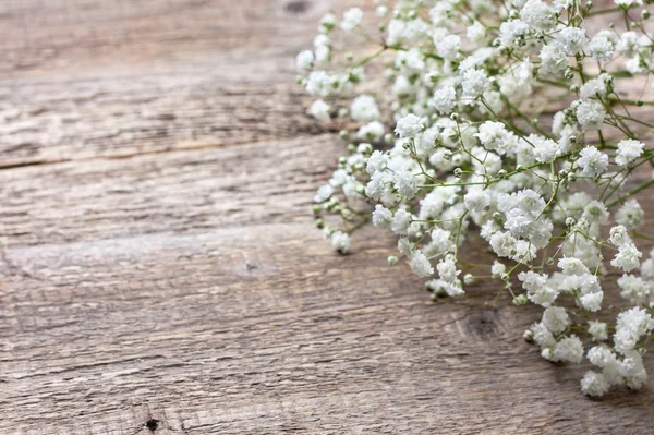 Gypsophila op een houten achtergrond — Stockfoto