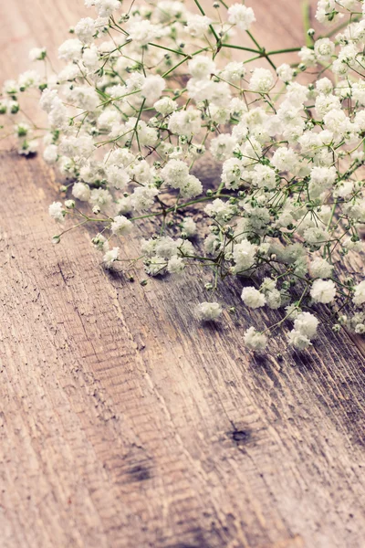 Gypsophila ahşap arka plan üzerinde — Stok fotoğraf