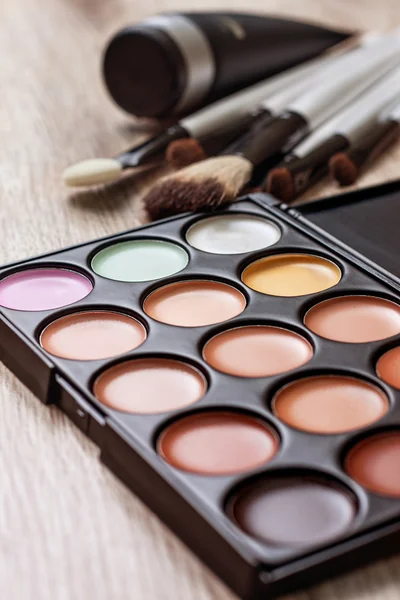 Professional makeup palette — Stock Photo, Image