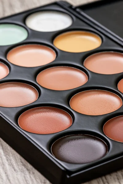Professional makeup palette — Stock Photo, Image