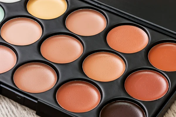 Professional makeup palette — Stock Photo, Image