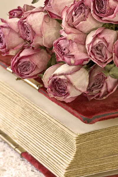 Bouquet di rose secche sul vecchio libro — Foto Stock