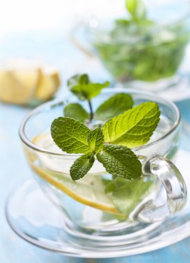 Taze nane ve limon ile çay bardak