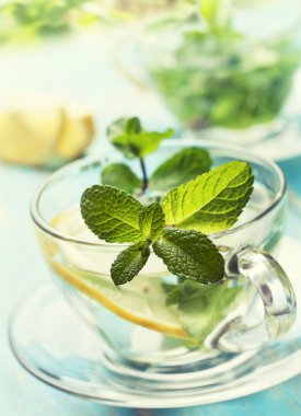 Taze nane ve limon (tonlama ile çay bardak)