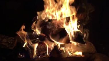 4k Şenlik ateşi yaz ormanlarında yanar, alevler ve kömürler gece yakın planda yanar..