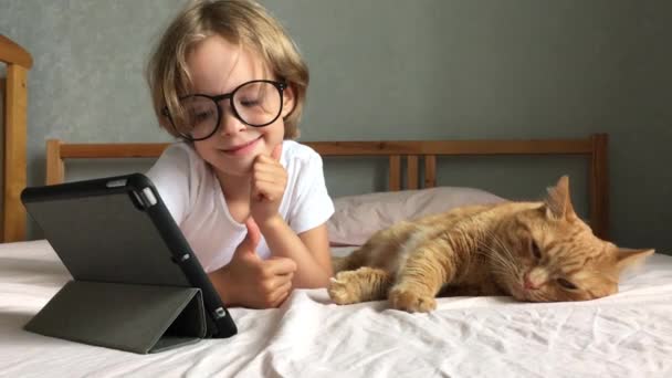 Una niña se acuesta en la cama y se comunica en línea. Un gato de jengibre gordo yace perezosamente al lado. Aprender en línea. Familia que llama — Vídeo de stock